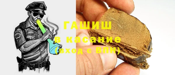 хмурый Алексин