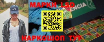 спайс Берёзовский