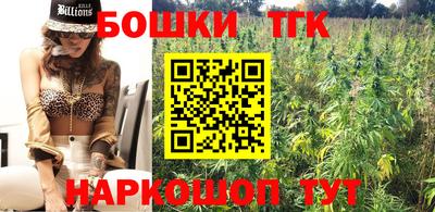 хмурый Бийск