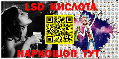 спайс Берёзовский