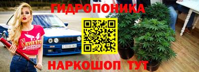 спайс Берёзовский