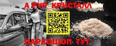 стафф Гатчина