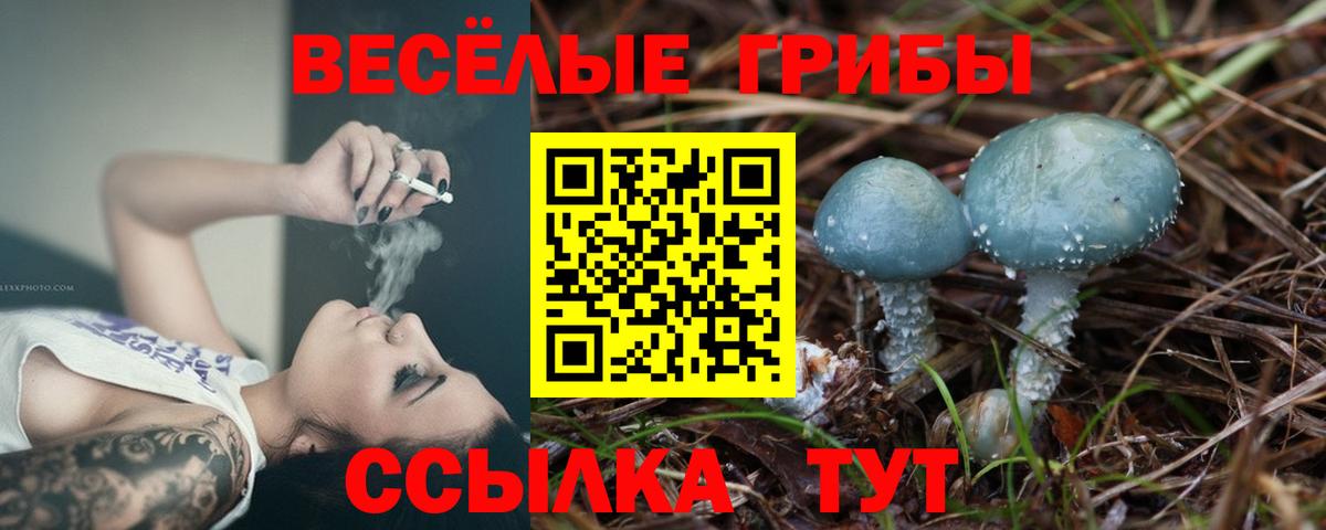 Галлюциногенные грибы прущие грибы  закладки  Егорьевск  Галлюциногенные грибы Cubensis  Вход с VPN 